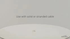 Best Pirce ❤️ Australia Sale - Antsig CAT6 RJ45 8P8C Plug - 10 Pack ❤️ -Antsig Sales Store 7fefe41de564474ca6f9ae1133d7b491